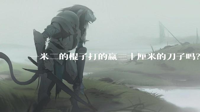 一米二的棍子打的赢三十厘米的刀子吗？