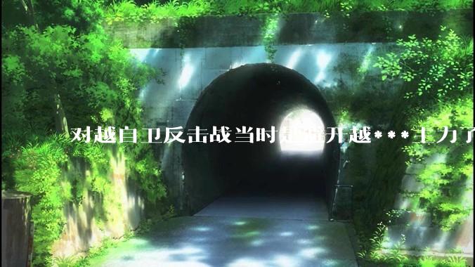 对越自卫反击战当时是避开越***主力了吗？