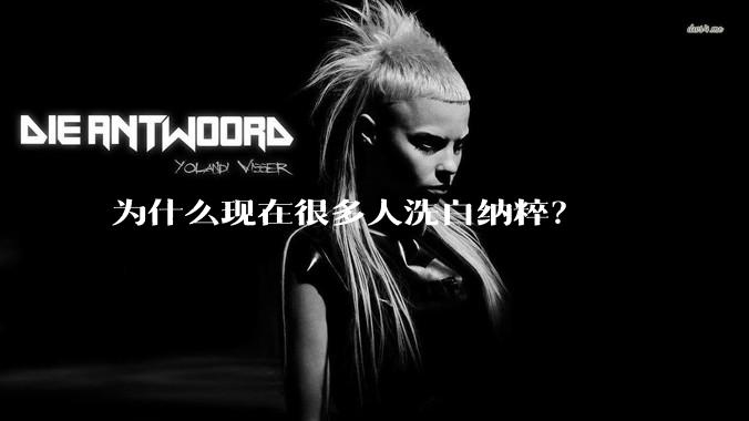 为什么现在很多人洗白纳粹？